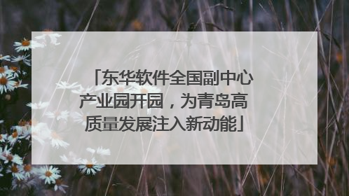 东华软件全国副中心产业园开园，为青岛高质量发展注入新动能