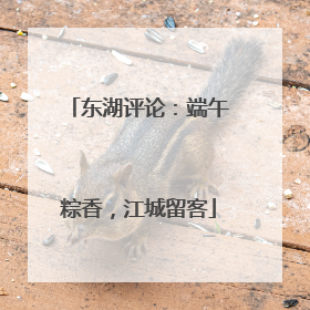东湖评论：端午粽香，江城留客