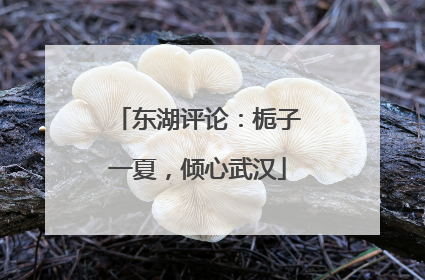 东湖评论：栀子一夏，倾心武汉