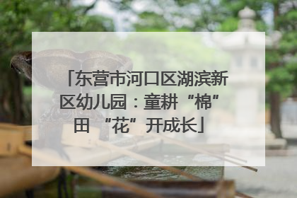 东营市河口区湖滨新区幼儿园：童耕“棉”田 “花”开成长