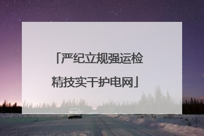 严纪立规强运检 精技实干护电网