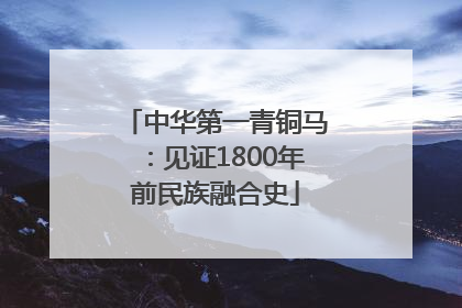 中华第一青铜马：见证1800年前民族融合史