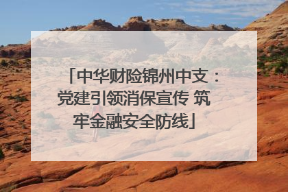 中华财险锦州中支：党建引领消保宣传 筑牢金融安全防线