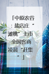 中原农谷：盐店庄“滩桃”上市 全国客商凌晨“赶集”