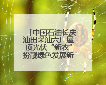 中国石油长庆油田采油六厂屋顶光伏“新衣”扮靓绿色发展新画卷
