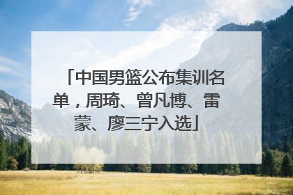 中国男篮公布集训名单，周琦、曾凡博、雷蒙、廖三宁入选