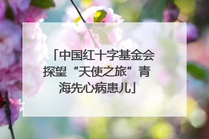 中国红十字基金会探望“天使之旅”青海先心病患儿