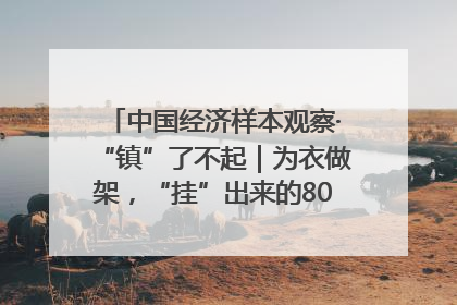 中国经济样本观察·“镇”了不起｜为衣做架，“挂”出来的80亿元“衣架产业”