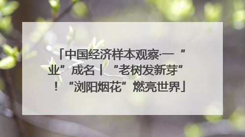 中国经济样本观察·一“业”成名丨“老树发新芽”！“浏阳烟花”燃亮世界