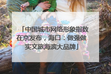 中国城市网络形象指数在京发布，海口：做强做实文旅海滨大品牌