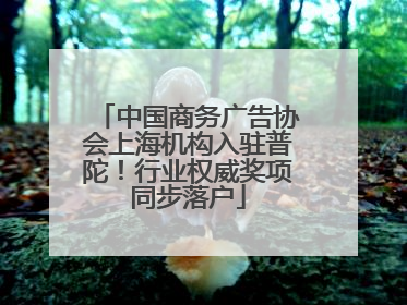 中国商务广告协会上海机构入驻普陀！行业权威奖项同步落户