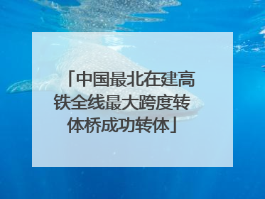 中国最北在建高铁全线最大跨度转体桥成功转体