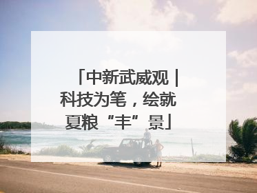 中新武威观｜科技为笔，绘就夏粮“丰”景