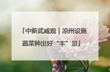 中新武威观｜凉州设施蔬菜种出好“丰”景