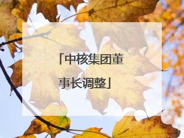 中核集团董事长调整