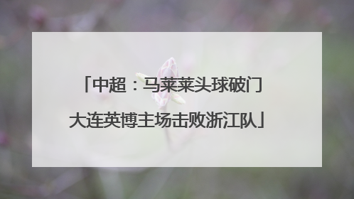 中超：马莱莱头球破门 大连英博主场击败浙江队