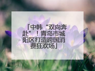 中韩“双向奔赴”！青岛市城阳区打造跨国消费狂欢场