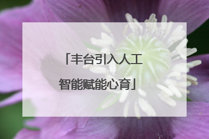 丰台引入人工智能赋能心育