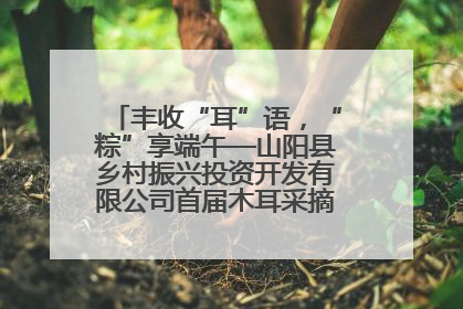 丰收“耳”语，“粽”享端午—山阳县乡村振兴投资开发有限公司首届木耳采摘活动盛大启幕