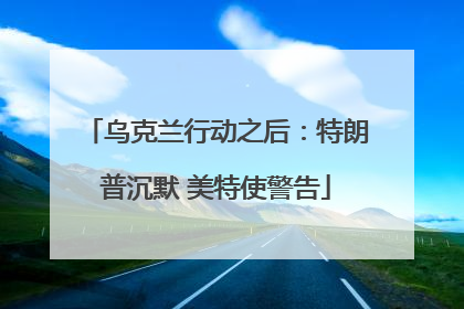 乌克兰行动之后：特朗普沉默 美特使警告