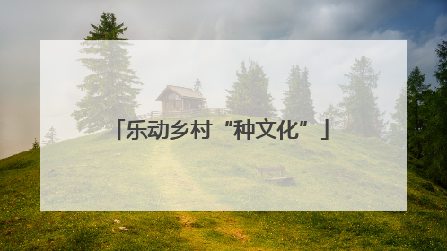 乐动乡村“种文化”