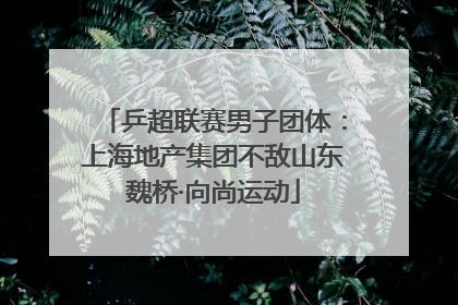 乒超联赛男子团体：上海地产集团不敌山东魏桥·向尚运动