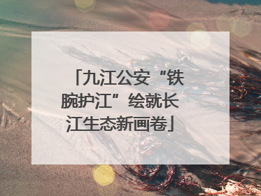 九江公安“铁腕护江”绘就长江生态新画卷