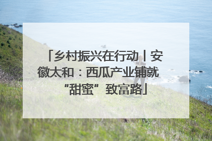 乡村振兴在行动丨安徽太和：西瓜产业铺就“甜蜜”致富路