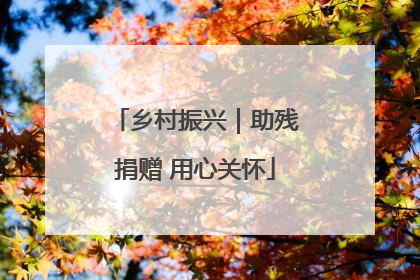 乡村振兴｜助残捐赠 用心关怀