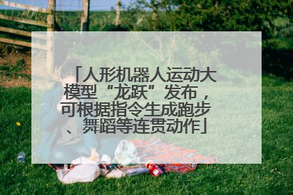 人形机器人运动大模型“龙跃”发布，可根据指令生成跑步、舞蹈等连贯动作