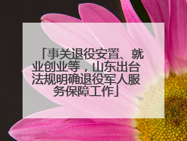 事关退役安置、就业创业等，山东出台法规明确退役军人服务保障工作