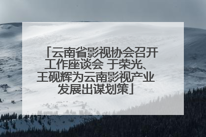 云南省影视协会召开工作座谈会 于荣光、王砚辉为云南影视产业发展出谋划策