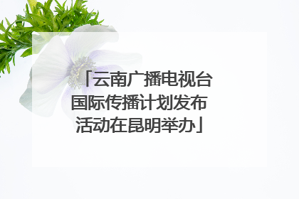 云南广播电视台国际传播计划发布活动在昆明举办