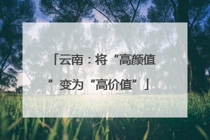 云南：将“高颜值”变为“高价值”
