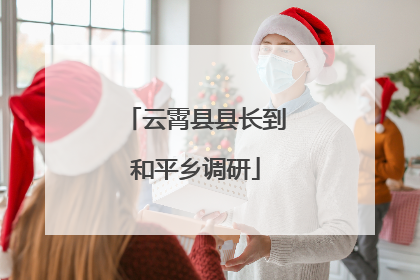 云霄县县长到和平乡调研