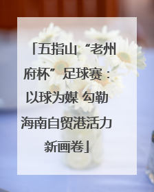 五指山“老州府杯”足球赛：以球为媒 勾勒海南自贸港活力新画卷