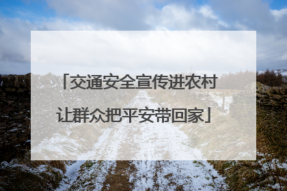 交通安全宣传进农村 让群众把平安带回家