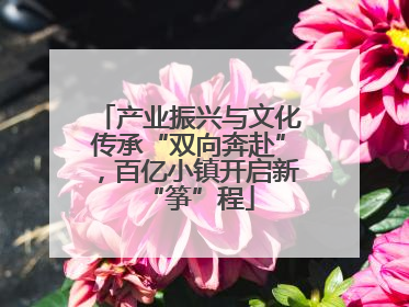 产业振兴与文化传承“双向奔赴”，百亿小镇开启新“筝”程