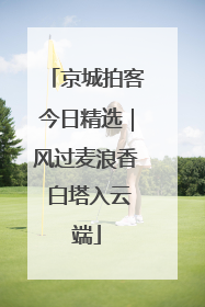 京城拍客今日精选｜风过麦浪香 白塔入云端