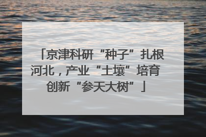 京津科研“种子”扎根河北，产业“土壤”培育创新“参天大树”