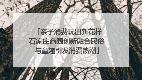 亲子消费玩出新花样 石家庄商圈创新融合民俗与童趣引发消费热潮