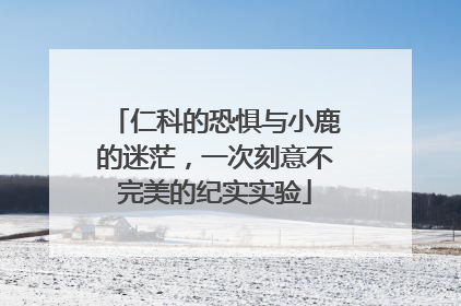 仁科的恐惧与小鹿的迷茫，一次刻意不完美的纪实实验