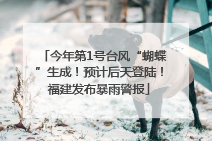 今年第1号台风“蝴蝶”生成！预计后天登陆！福建发布暴雨警报