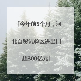 今年前5个月，河北自贸试验区进出口超300亿元