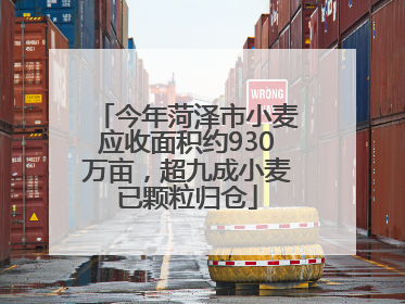 今年菏泽市小麦应收面积约930万亩，超九成小麦已颗粒归仓