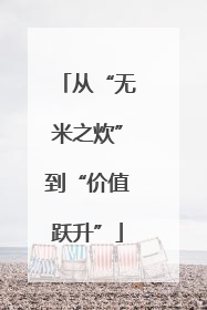 从“无米之炊”到“价值跃升”
