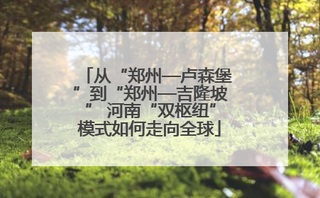 从“郑州—卢森堡”到“郑州—吉隆坡” 河南“双枢纽”模式如何走向全球