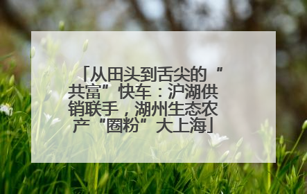 从田头到舌尖的“共富”快车：沪湖供销联手，湖州生态农产“圈粉”大上海