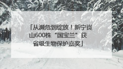 从濒危到绽放！新宁崀山600株“国宝兰”获省级生物保护嘉奖