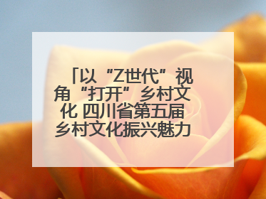 以“Z世代”视角“打开”乡村文化 四川省第五届乡村文化振兴魅力竞演大赛启动